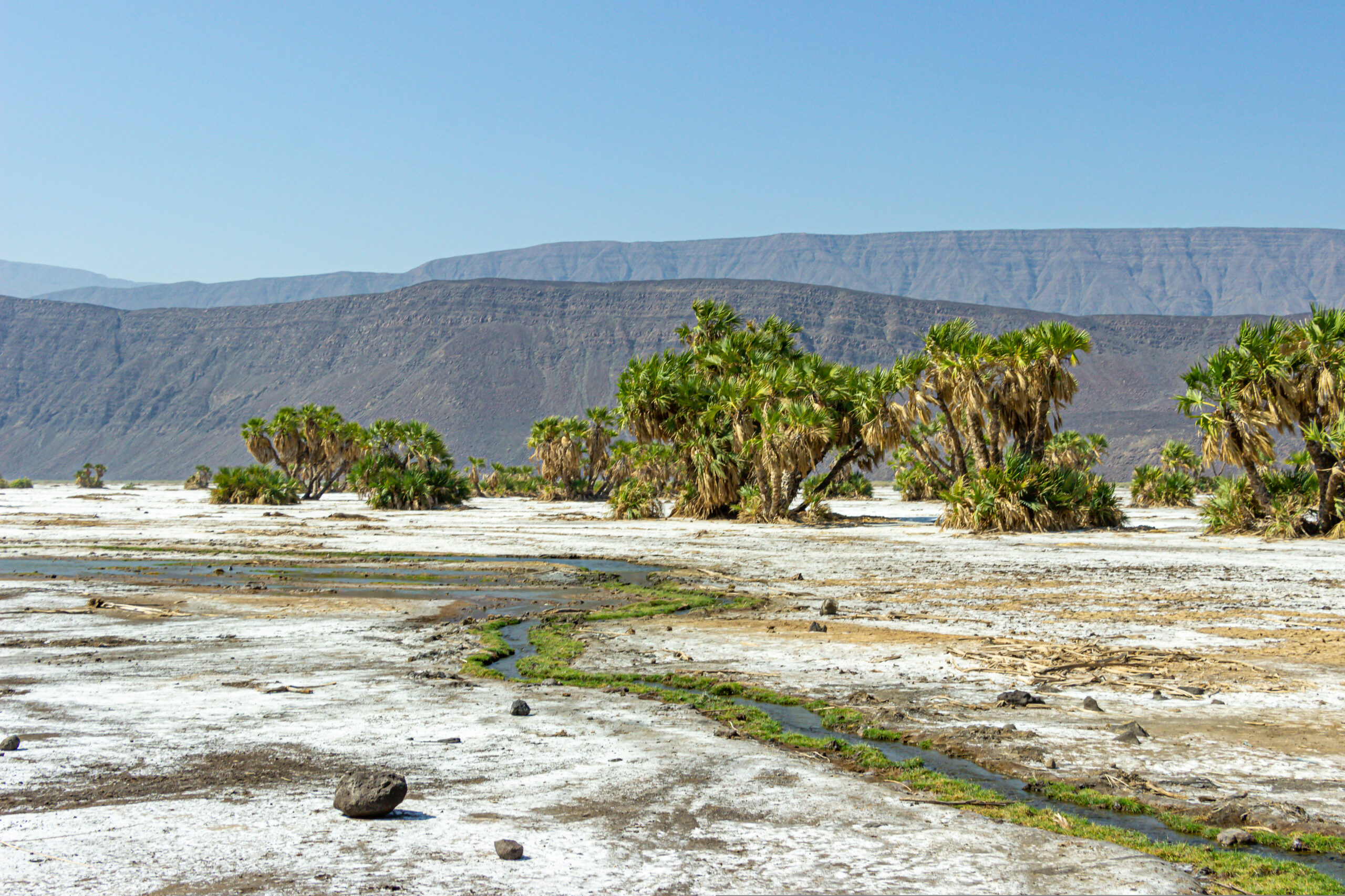 Tales of the Djibouti By Camille Massida